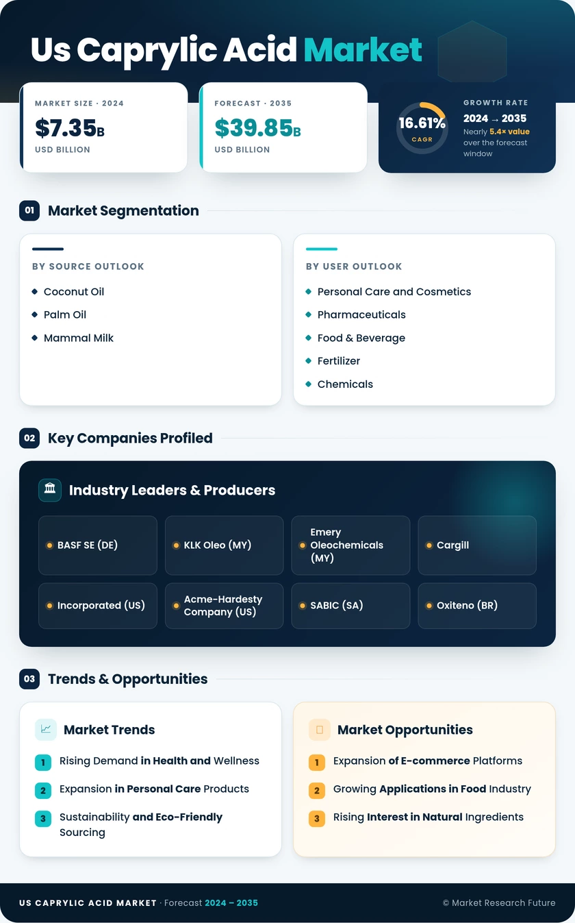US Caprylic Acid Market Research Report — Forecast till 2035 Infographic