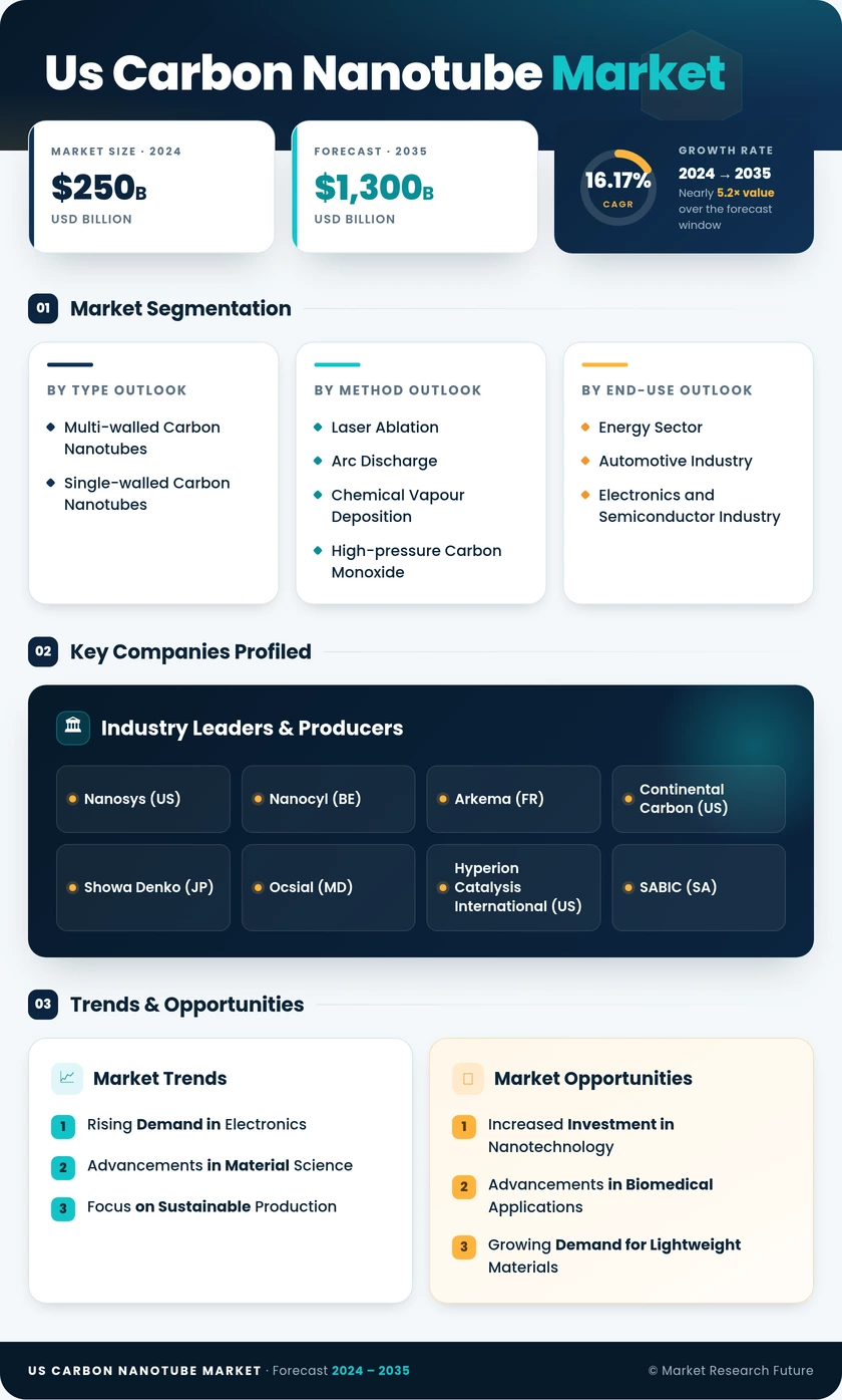 US Carbon Nanotube Market Infographic