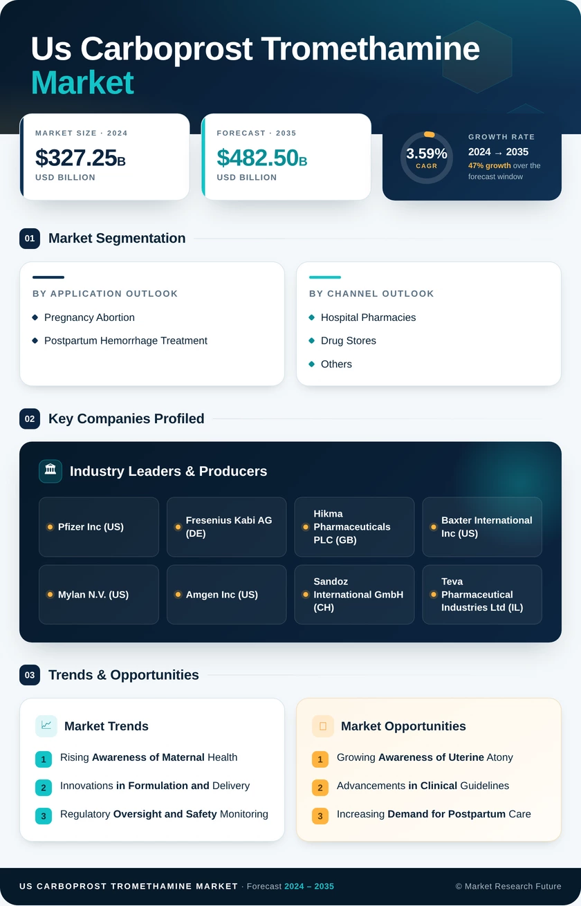 US Carboprost Tromethamine Market Research Report- Forecast To 2035 Infographic