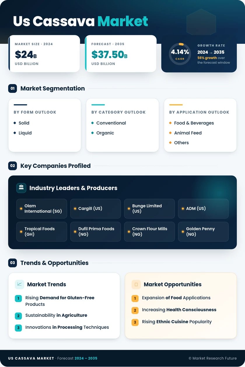 US Cassava Market Report — Forecast till 2035 Infographic
