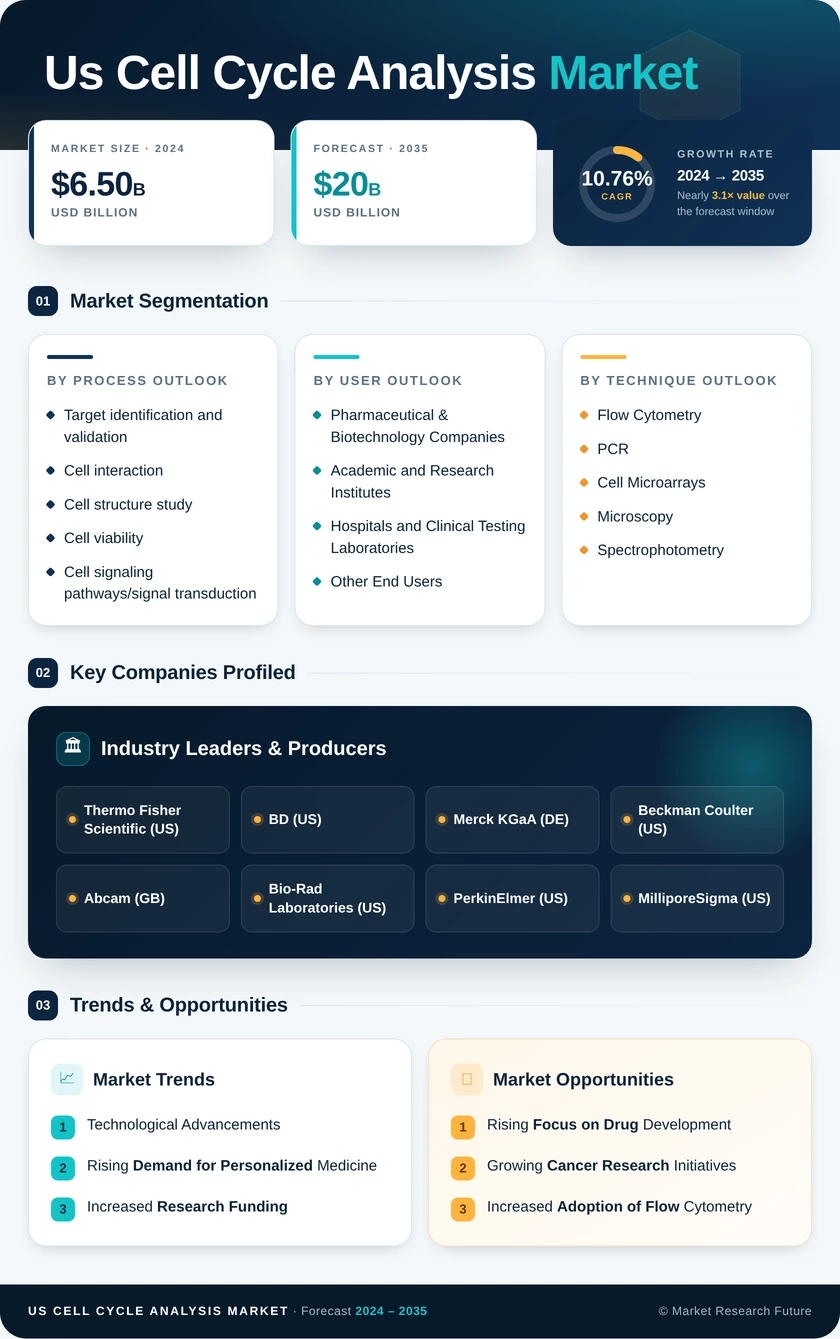 US Cell Cycle Analysis Market Infographic