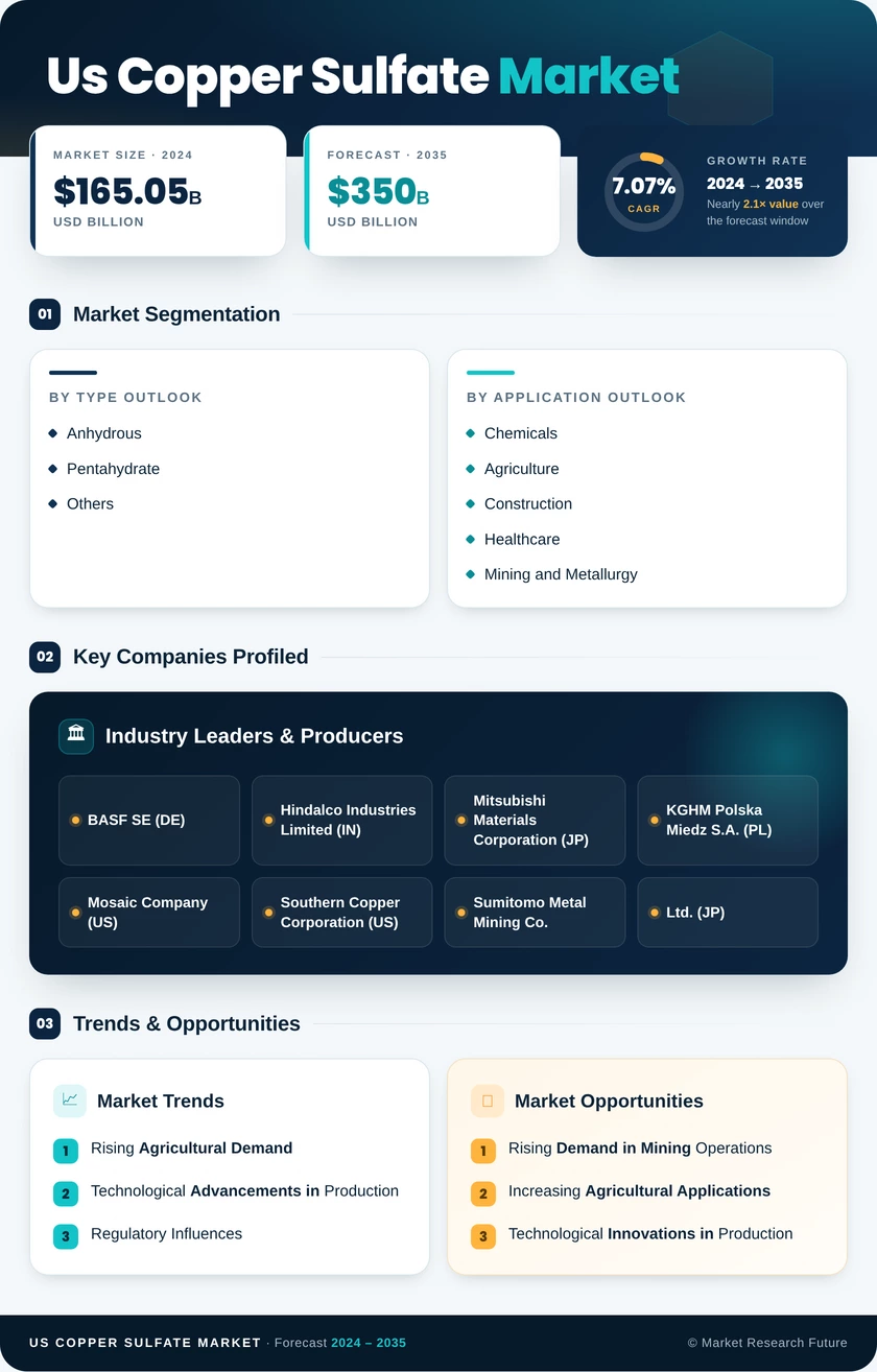 US Copper Sulfate Market Research Report - Forecast Report 2035 Infographic