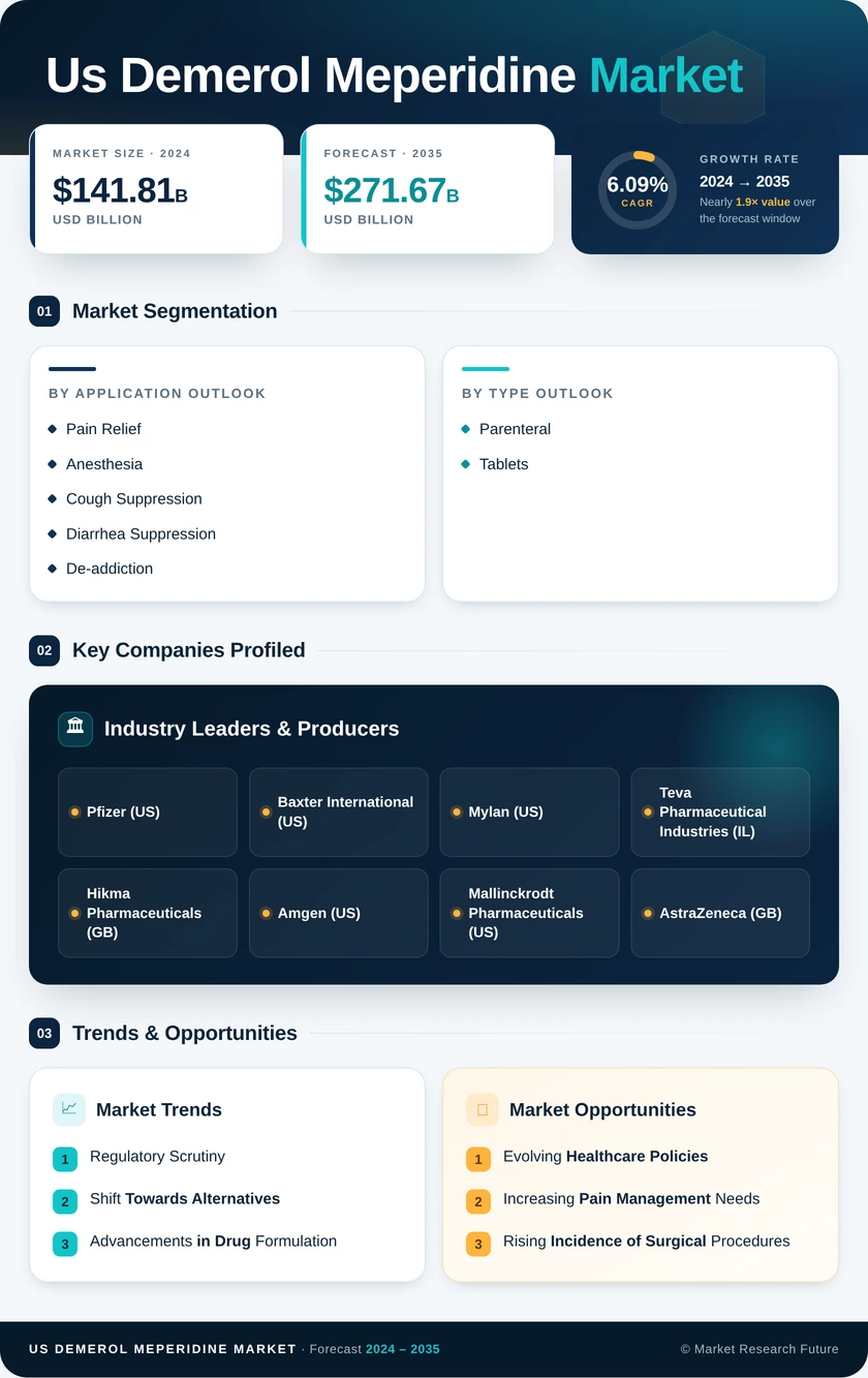US Demerol Meperidine Market Research Report — Global Forecast till 2035 Infographic