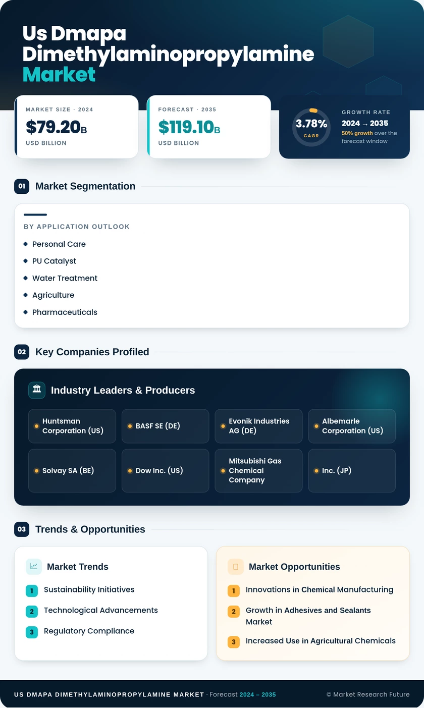 US DMAPA Dimethylaminopropylamine  Market Research Report - Forecast by 2035 Infographic