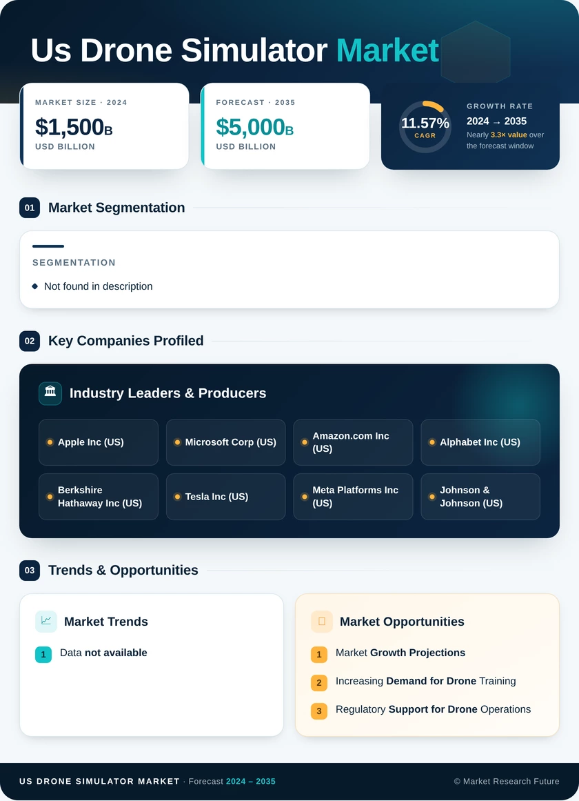 US Drone Simulator Market one Infographic