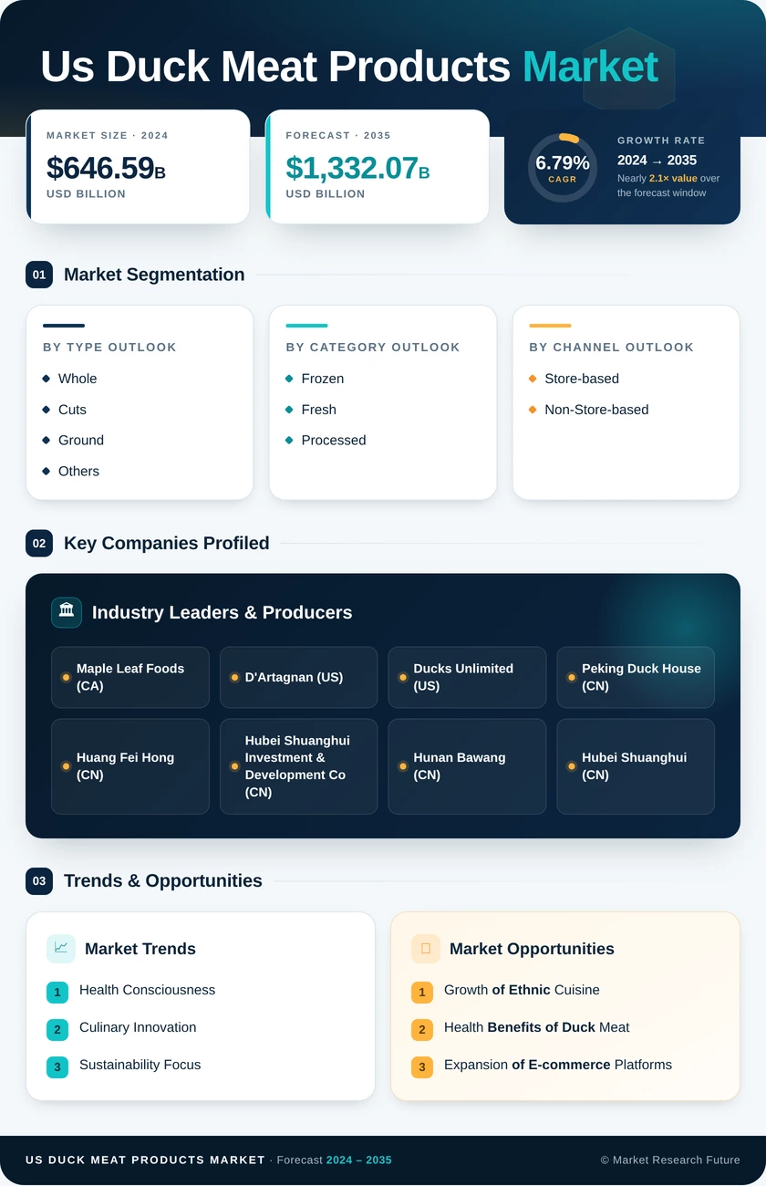 US Duck Meat Products Market Research Report — Forecast till 2035 Infographic