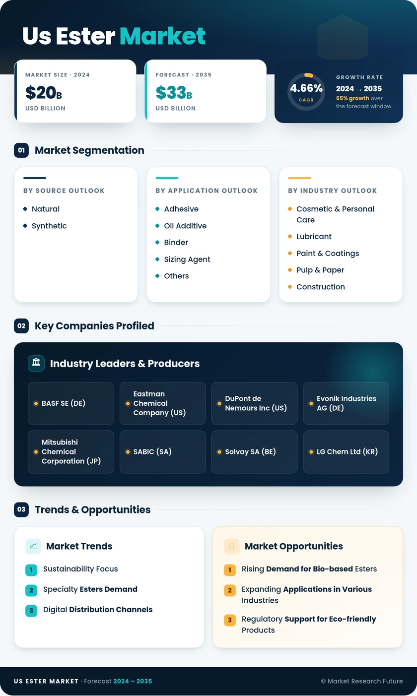 US Ester Market Research Report—Forecast till 2035 Infographic