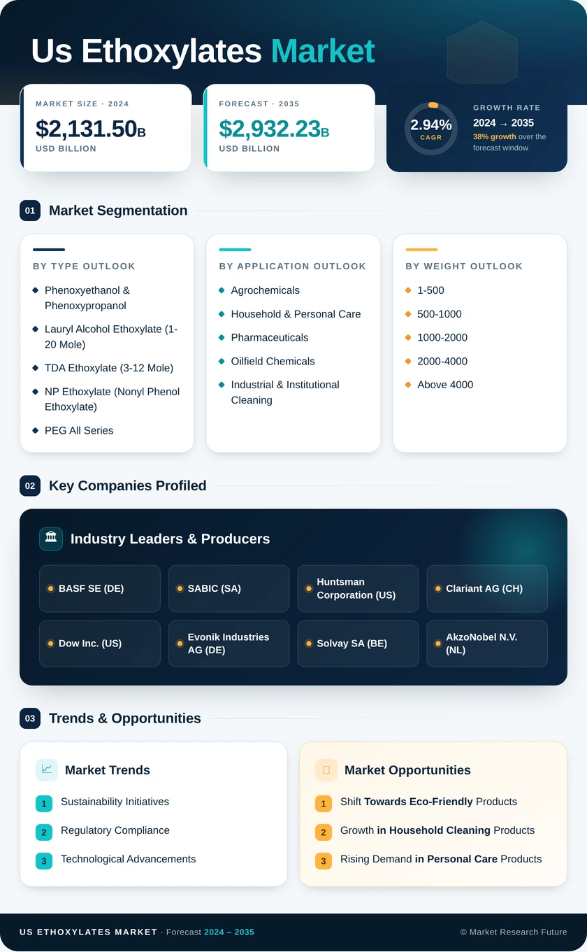 US Ethoxylates Market Infographic