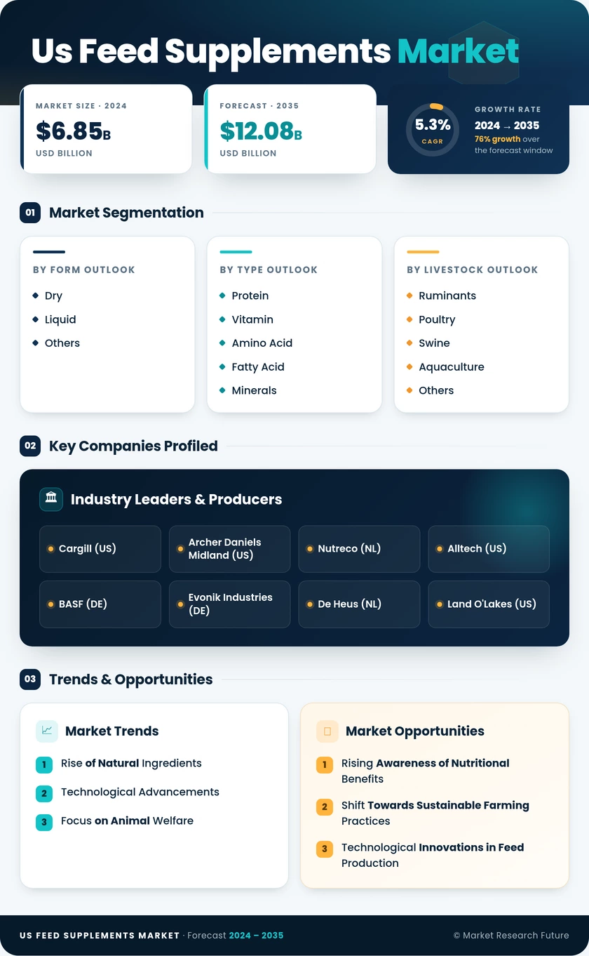 US Feed Supplements Market Research Report - Forecast Till 2035 Infographic