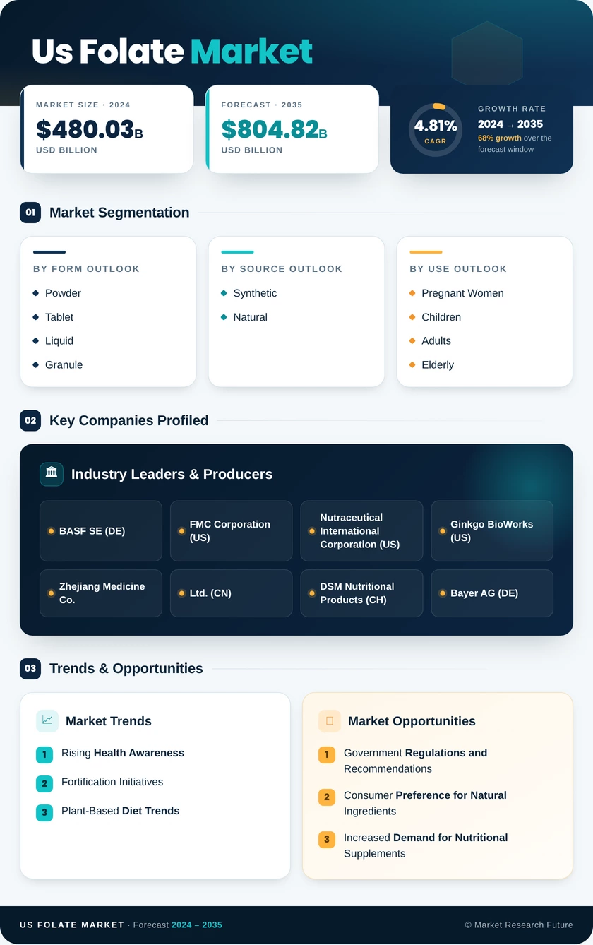 US Folate Market Research Report — Forecast till 2035 Infographic
