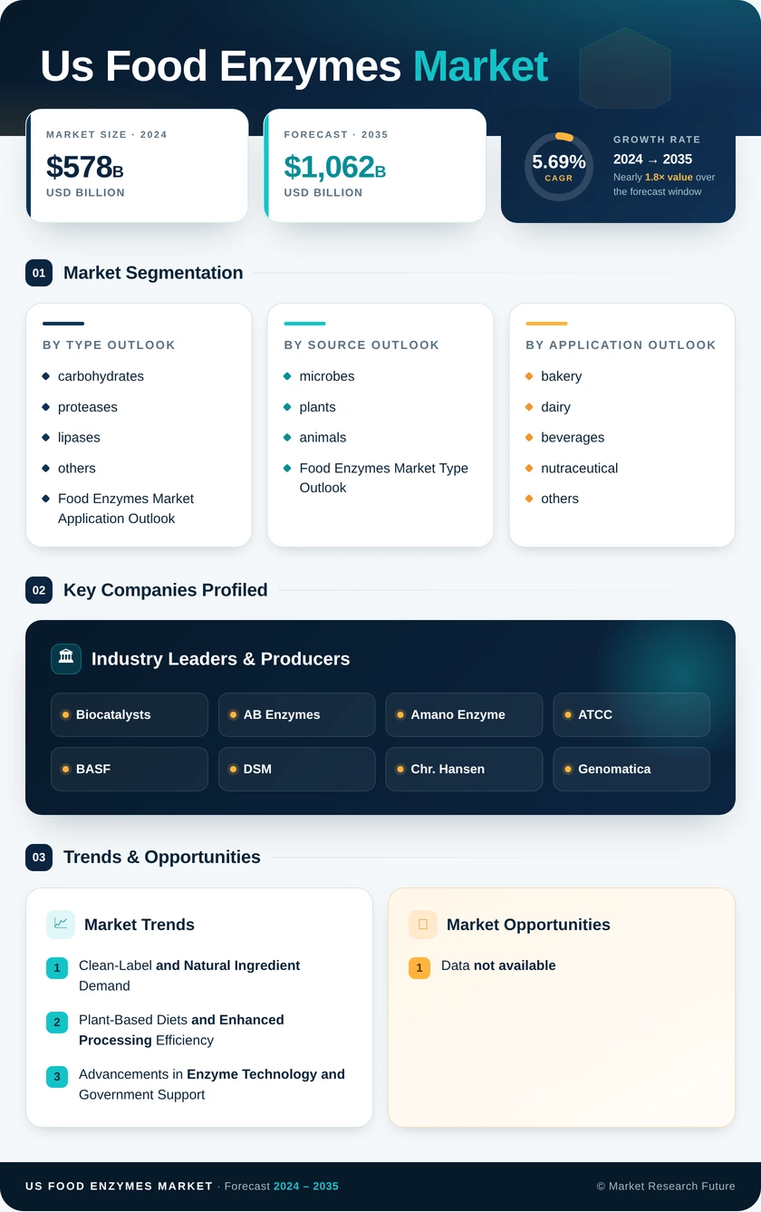 US Food Enzymes Market Research Report — Forecast till 2035 Infographic