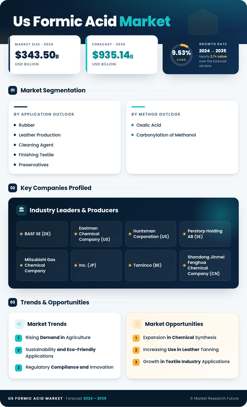 US Formic Acid Market Research Report- Forecast to 2035 Infographic