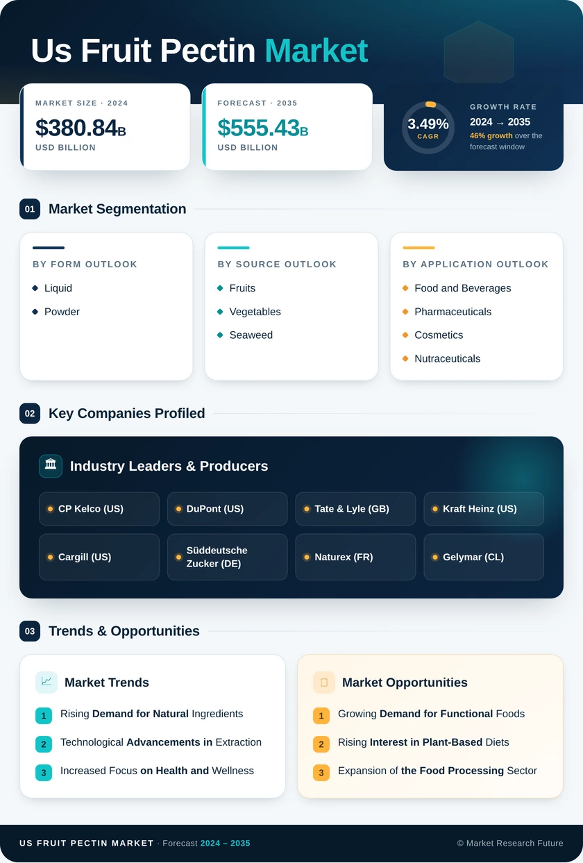 US Fruit Pectin Market Research Report — Forecast till 2035 Infographic