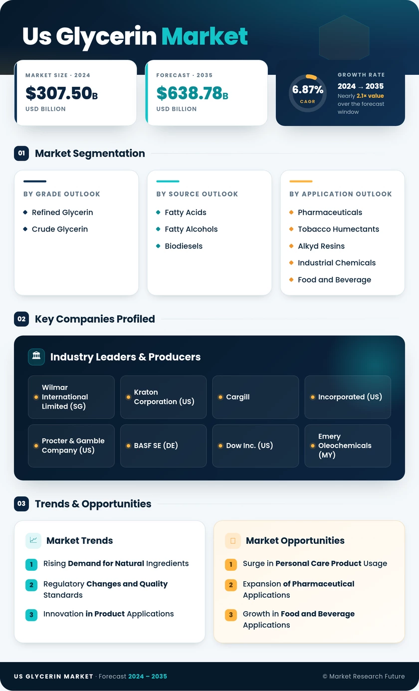 US Glycerin Market Infographic