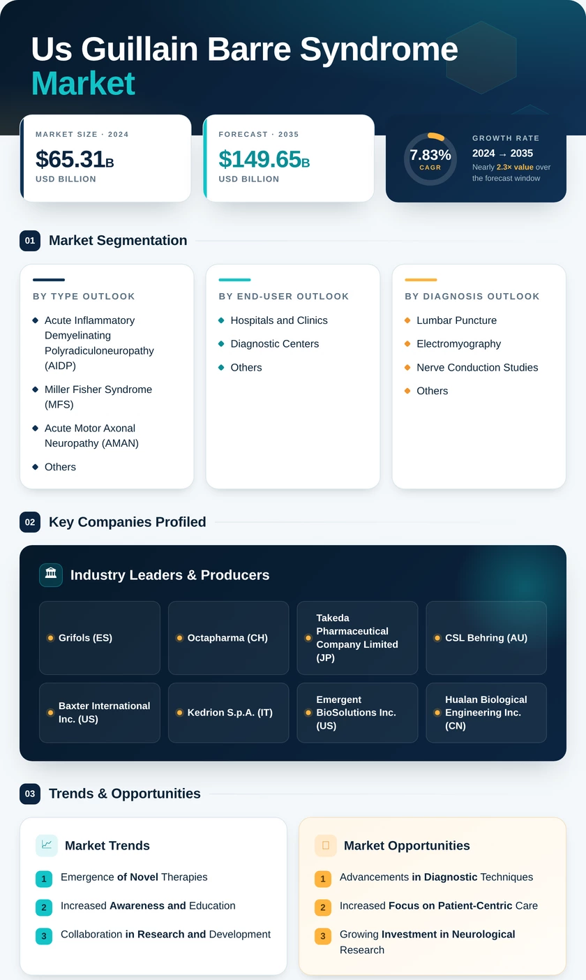 US Guillain-Barre Syndrome Market Infographic