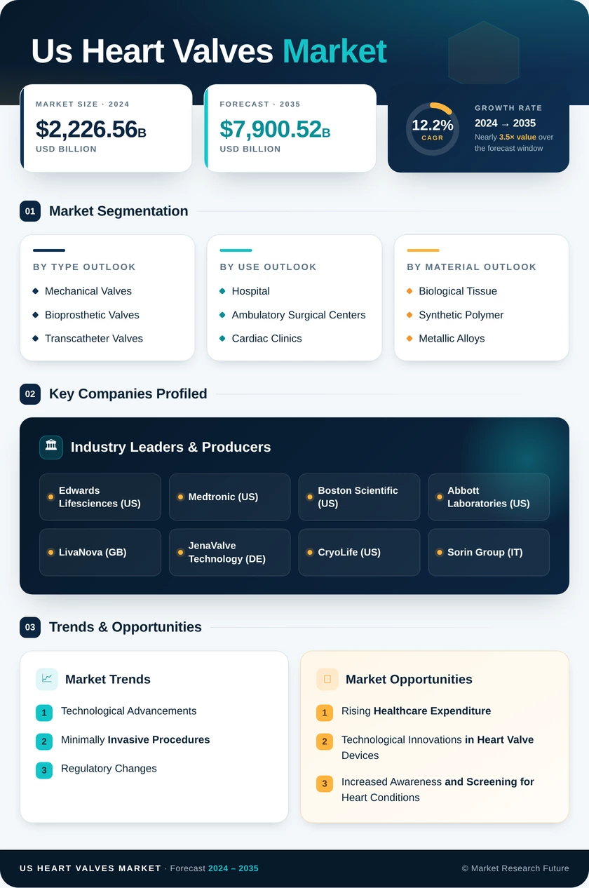 US Heart Valves Market Infographic