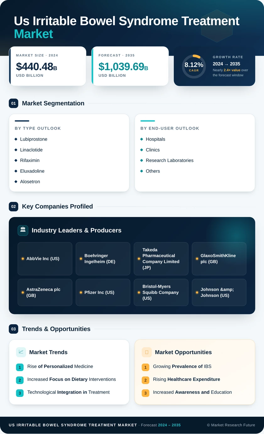 US Irritable Bowel Syndrome Treatment Market Infographic