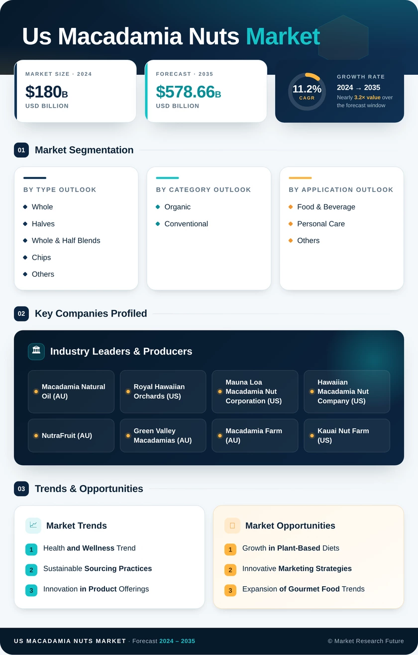 US Macadamia Nuts Market Research Report — Forecast till 2035 Infographic