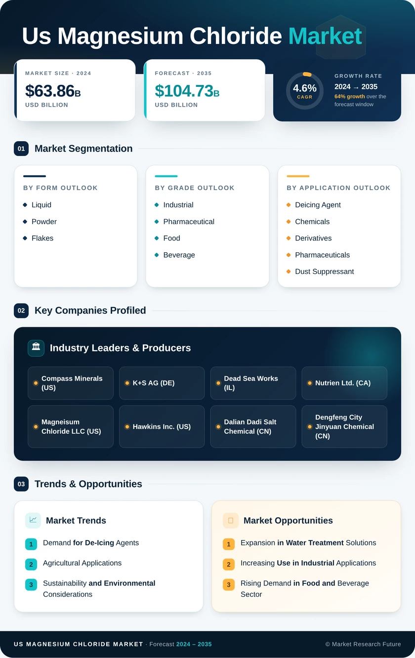 US Magnesium Chloride Market Research Report - Forecast Till 2035 Infographic