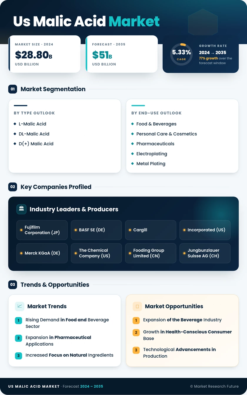 US Malic Acid Market Research Report - Forecast by 2035 Infographic