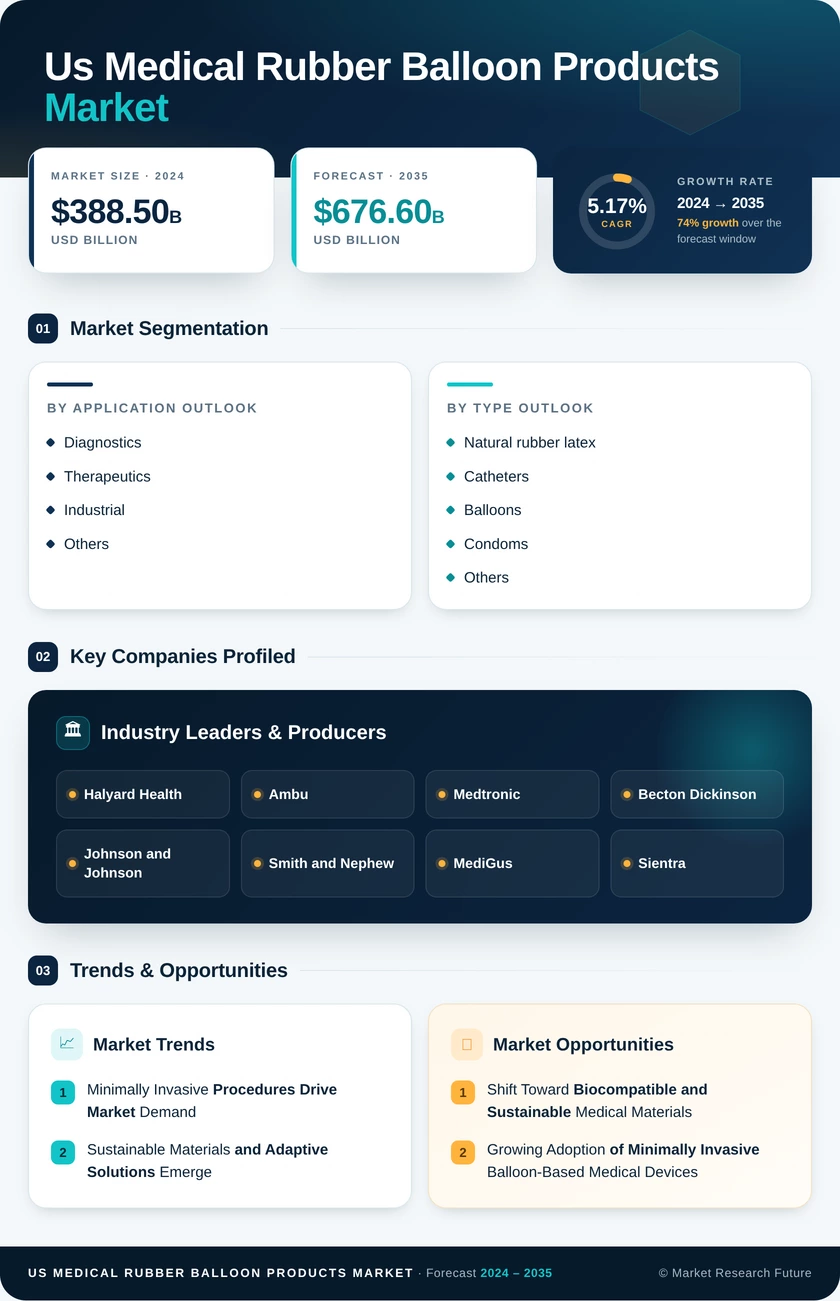 US Medical Rubber Balloon Products Market Infographic