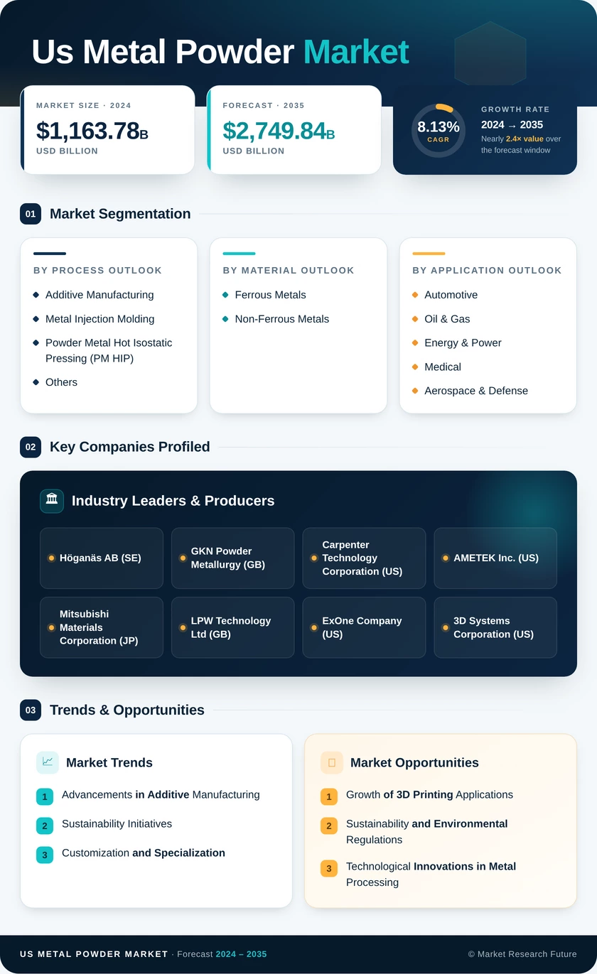 US Metal Powder Market Infographic