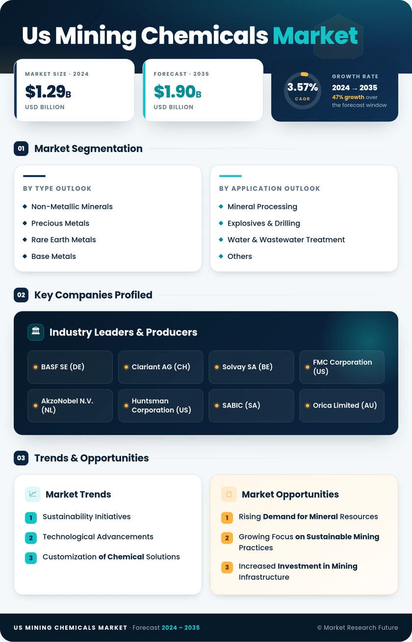 US Mining Chemicals Market Infographic