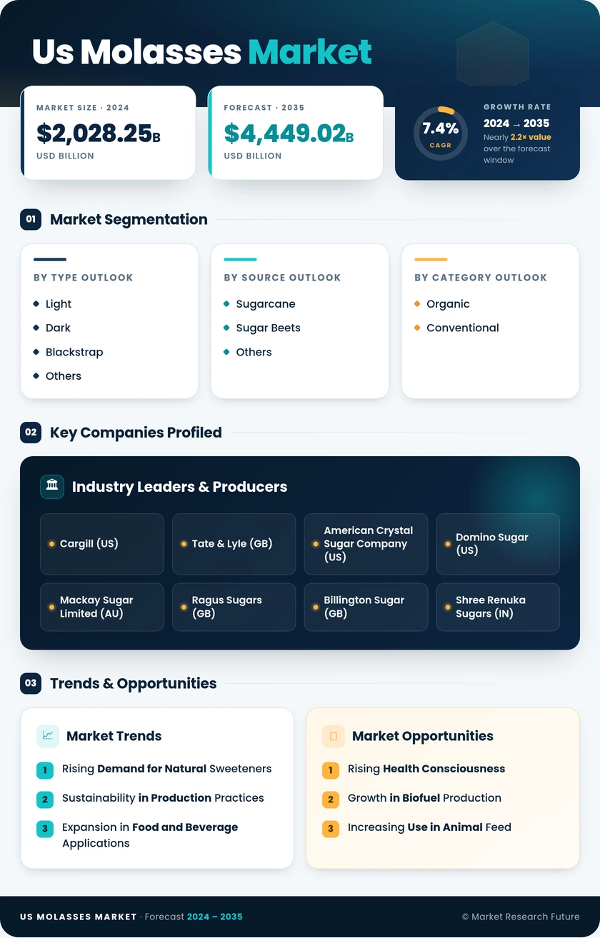 US Molasses Market Research Report — Forecast till 2035 Infographic