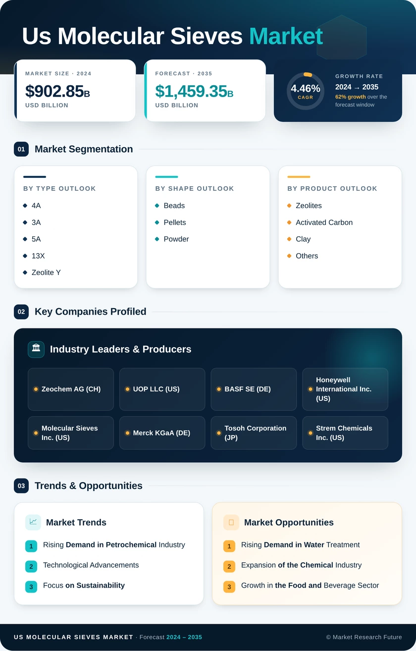 US Molecular Sieves Market Research Report - Forecast Report 2035 Infographic