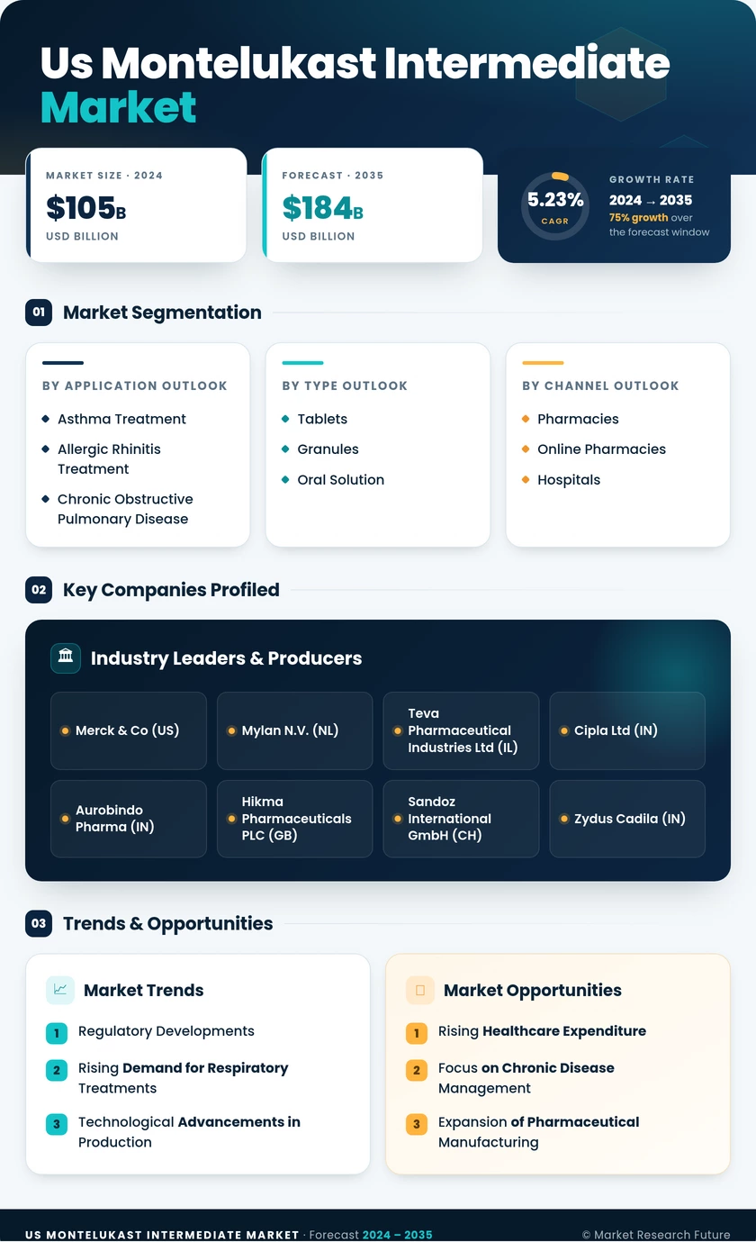 US Montelukast Intermediate Market Infographic