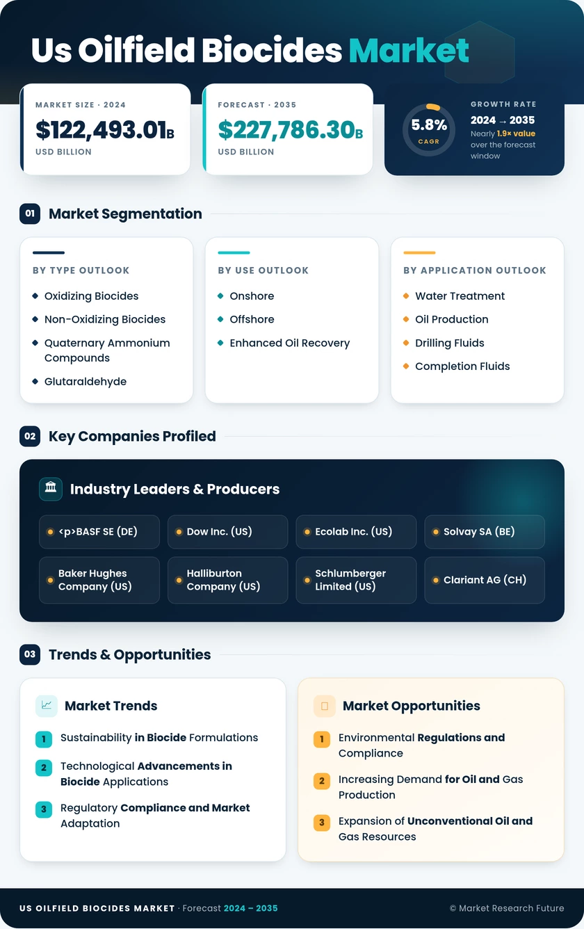 US Oilfield Biocides Market Infographic