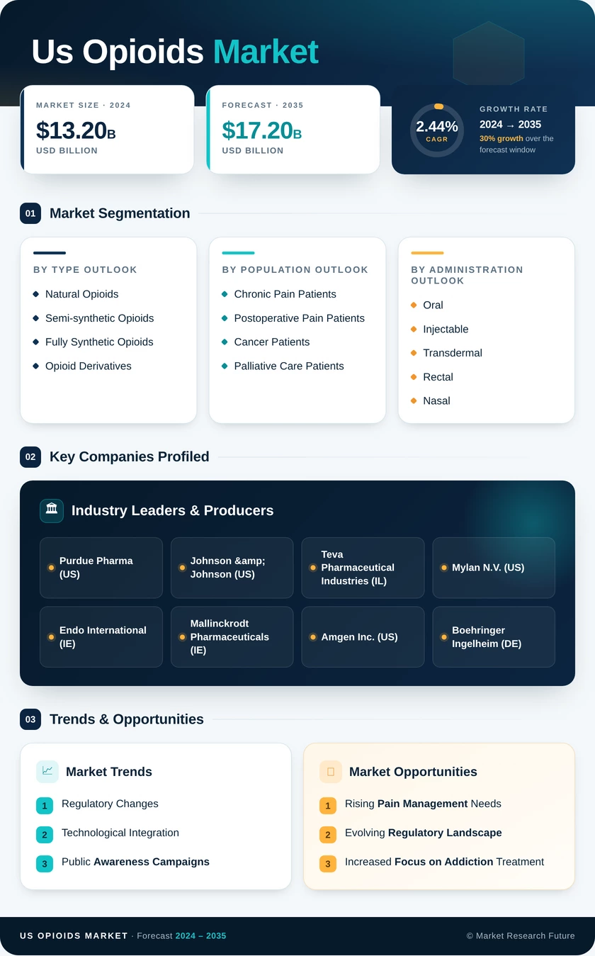 US Opioids Market Infographic