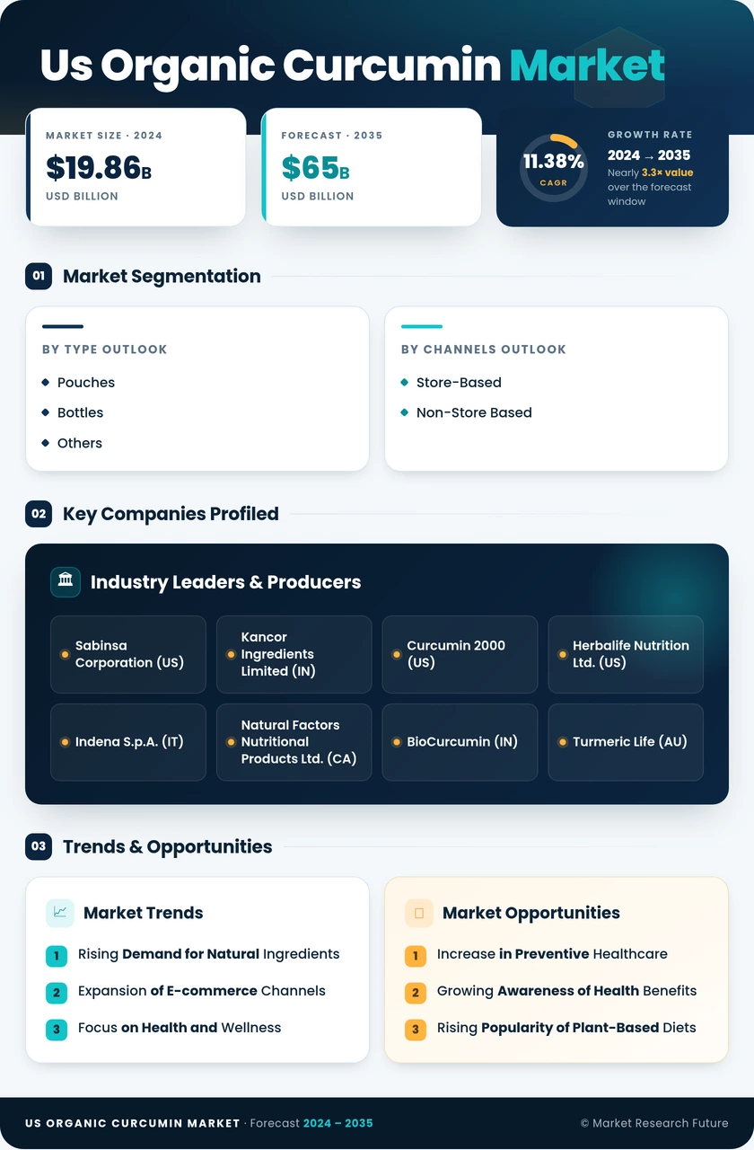 US Organic Curcumin Market Infographic