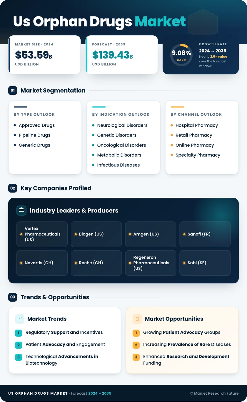 US Orphan Drugs Market Infographic