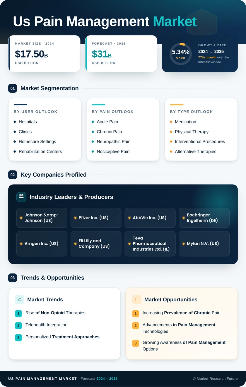 US Pain Management Market Research Report- Forecast to 2035 Infographic