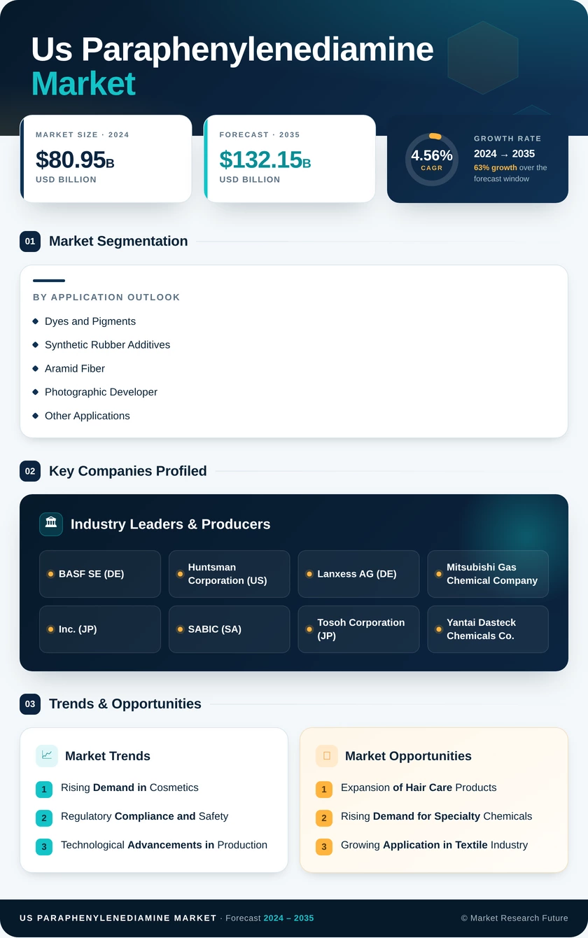 US Paraphenylenediamine Market Research Report - Forecast Till 2035 Infographic