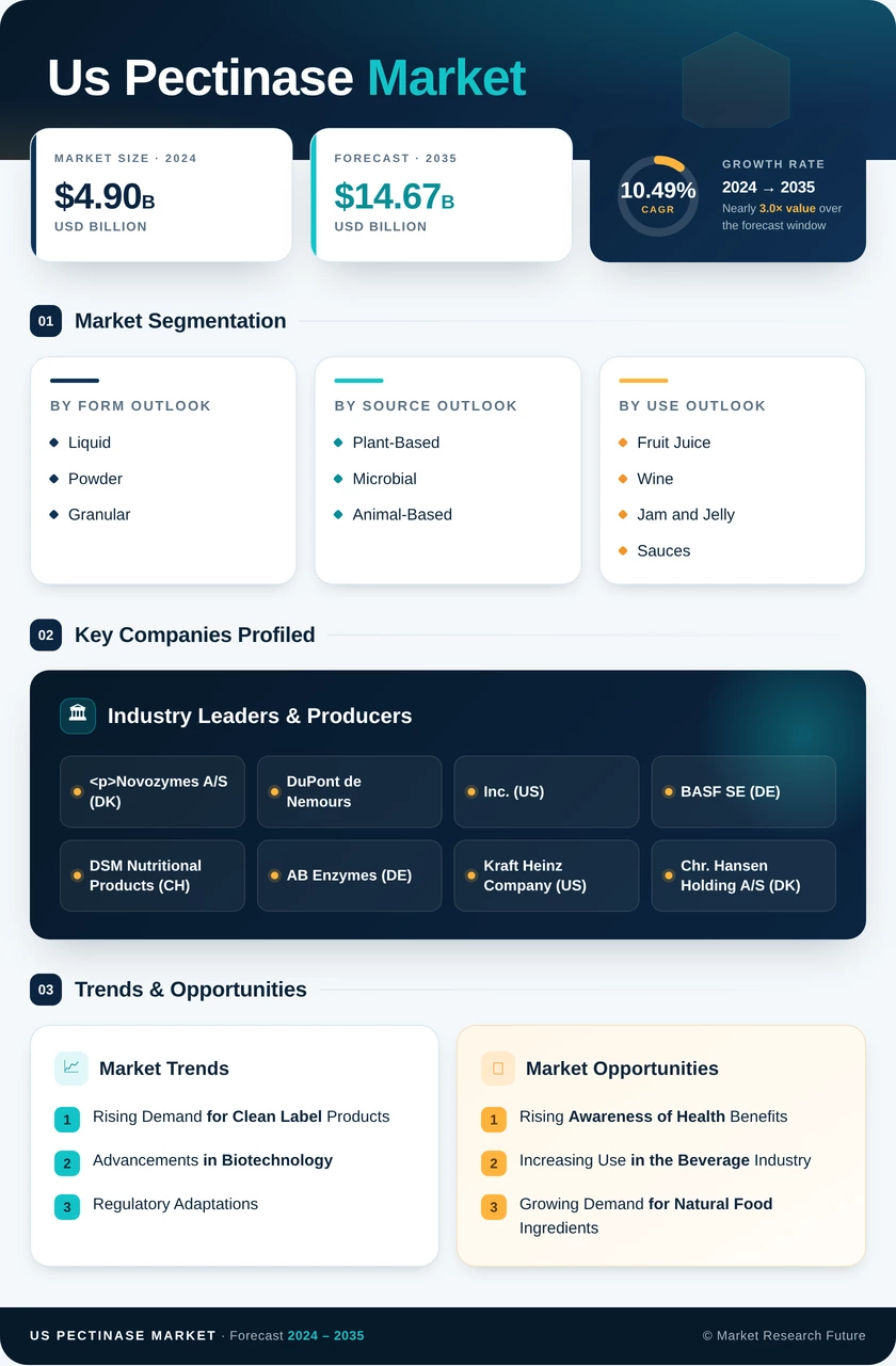 US Pectinase Market Infographic