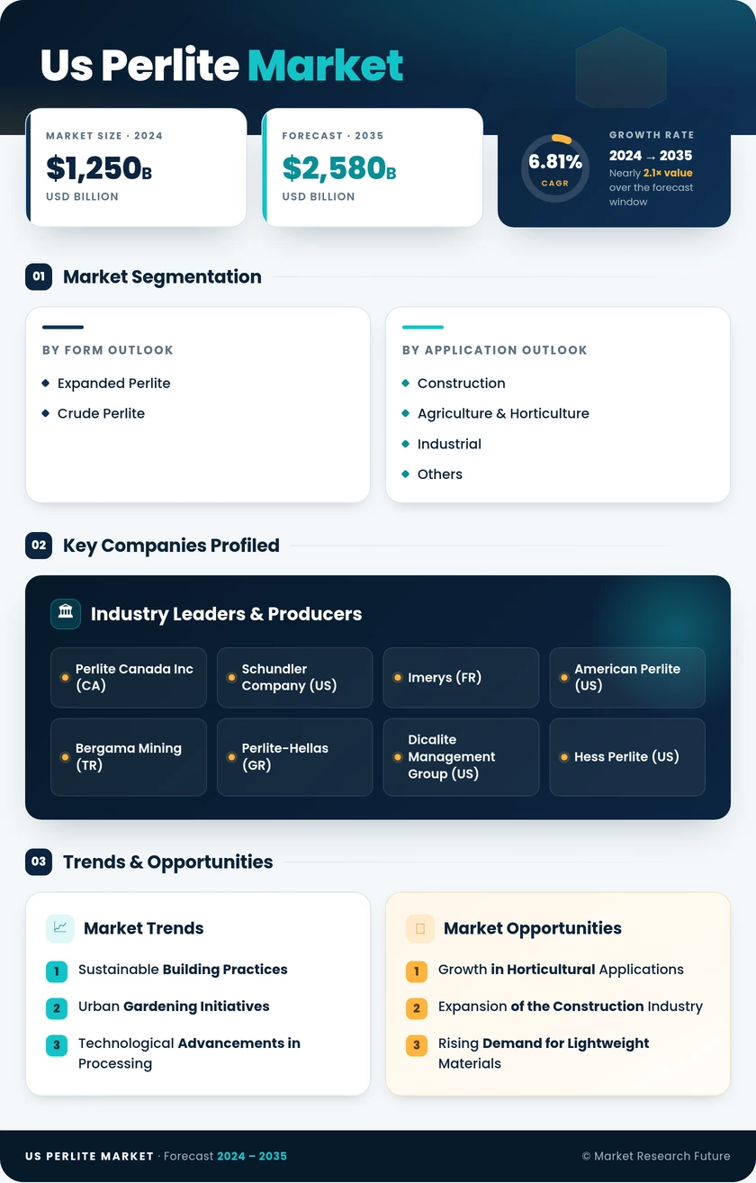 US Perlite Market Research Report - Forecast Report 2035 Infographic