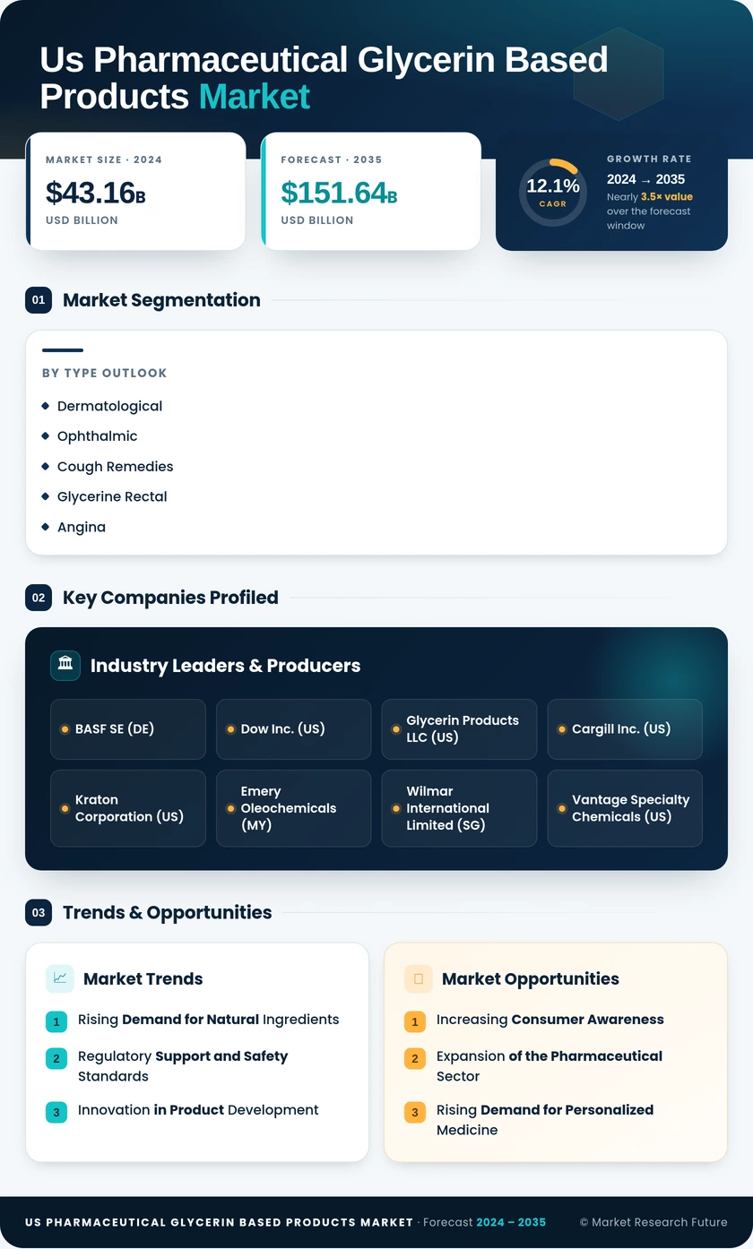 US Pharmaceutical Glycerin Based Products Market Infographic