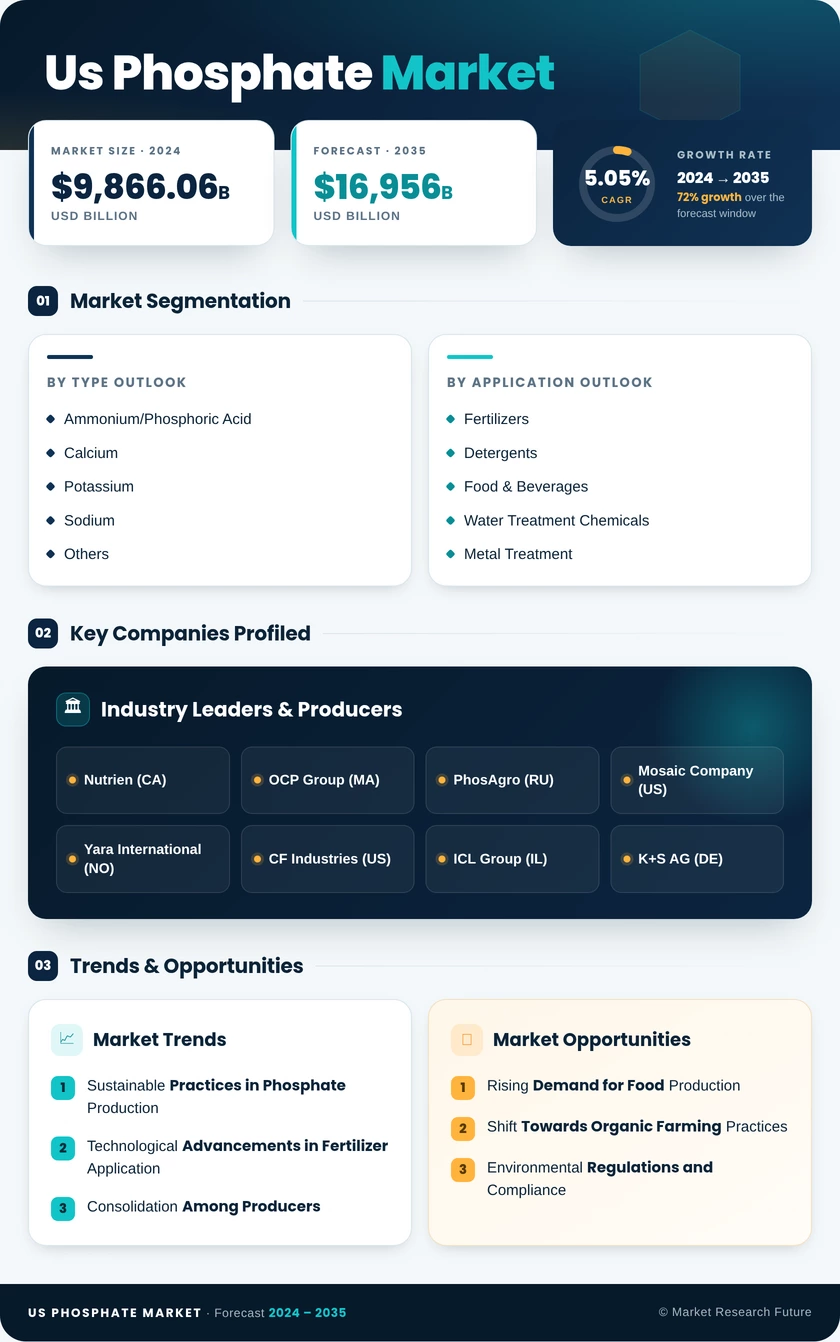 US Phosphate Market Infographic