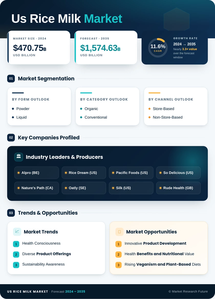 US Rice Milk Market Research Report — Forecast till 2035 Infographic