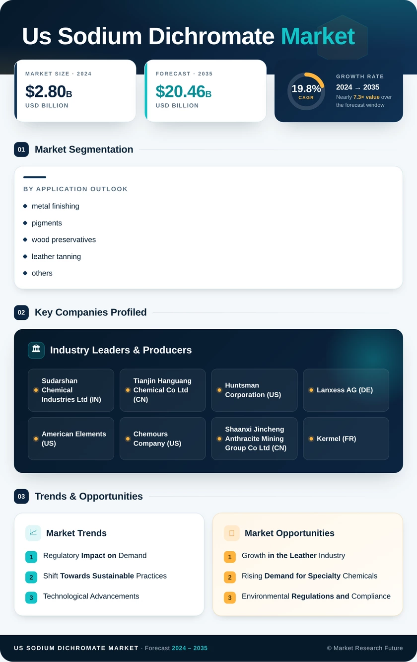 US Sodium Dichromate Market Infographic