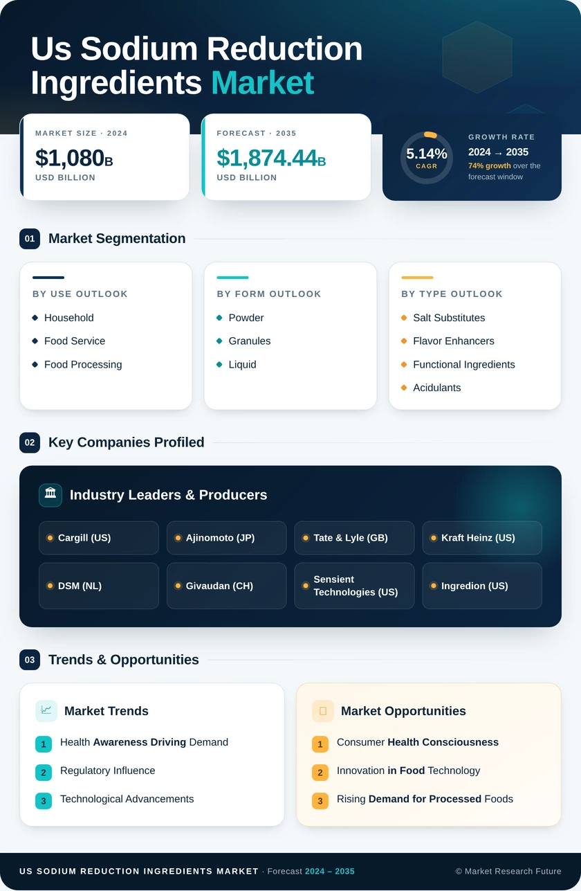 US Sodium Reduction Ingredients Market Research Report — Forecast till 2035 Infographic