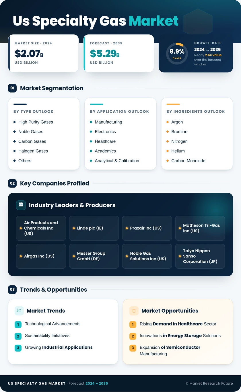 US Specialty Gas Market Infographic