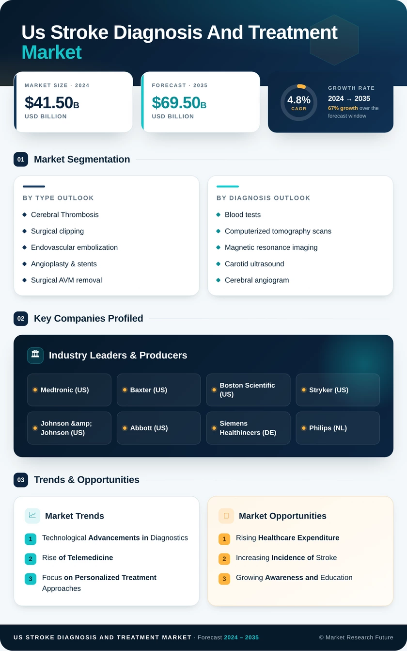 US Stroke Diagnosis and Treatment Market Infographic