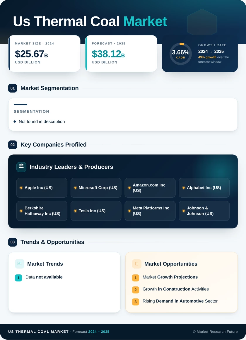US Thermal Coal Market Infographic