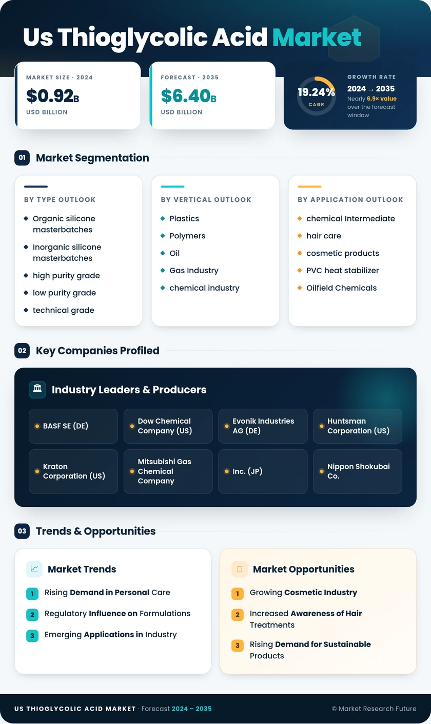 US Thioglycolic Acid Market Research Report - Forecast till 2035 Infographic