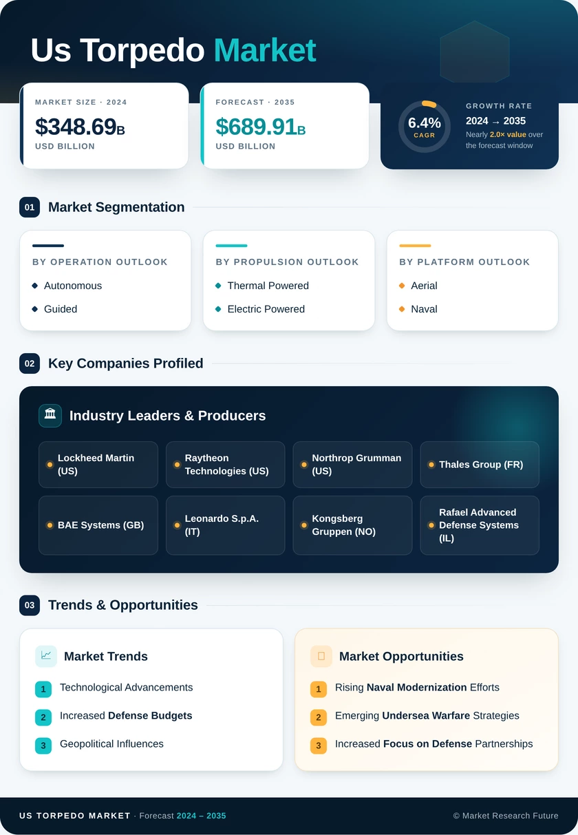 US Torpedo Market Infographic