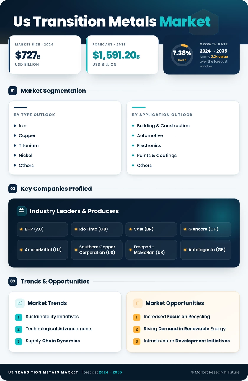 US Transition Metals Market Infographic