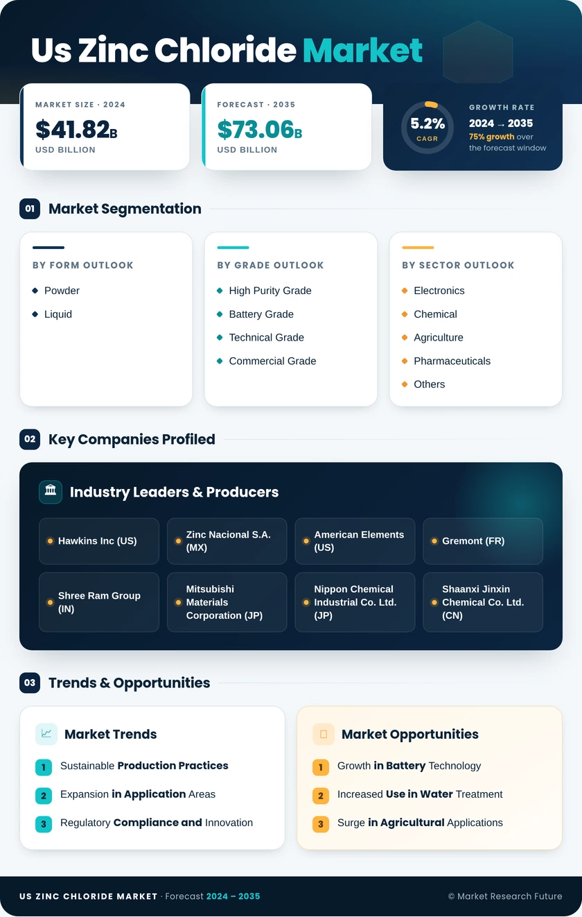 US Zinc Chloride Market Research Report - Forecast Report 2035 Infographic